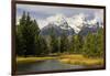 Grand Tetons, from Schwabachers Landing, Grand Teton National Park, Wyoming, USA-Michel Hersen-Framed Photographic Print