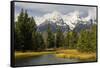 Grand Tetons, from Schwabachers Landing, Grand Teton National Park, Wyoming, USA-Michel Hersen-Framed Stretched Canvas