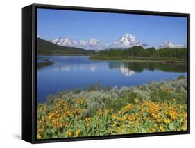 Grand Tetons from the Oxbow, Grand Teton National Park, Wyoming, USA-Michel Hersen-Framed Stretched Canvas