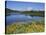 Grand Tetons from the Oxbow, Grand Teton National Park, Wyoming, USA-Michel Hersen-Stretched Canvas