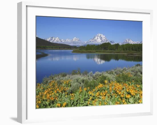 Grand Tetons from the Oxbow, Grand Teton National Park, Wyoming, USA-Michel Hersen-Framed Photographic Print