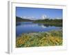 Grand Tetons from the Oxbow, Grand Teton National Park, Wyoming, USA-Michel Hersen-Framed Photographic Print