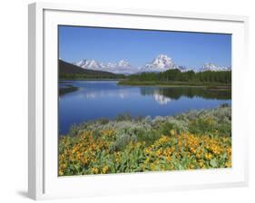 Grand Tetons from the Oxbow, Grand Teton National Park, Wyoming, USA-Michel Hersen-Framed Photographic Print