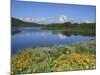 Grand Tetons from the Oxbow, Grand Teton National Park, Wyoming, USA-Michel Hersen-Mounted Photographic Print