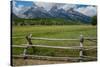 Grand Tetons, Grand Teton National Park, Wyoming, USA-Roddy Scheer-Stretched Canvas