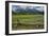 Grand Tetons, Grand Teton National Park, Wyoming, USA-Roddy Scheer-Framed Photographic Print