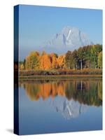 Grand Tetons in Autumn from the Oxbow, Grand Teton National Park, Wyoming, USA-Michel Hersen-Stretched Canvas