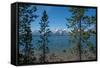 Grand Tetons, Lakeshore Trail, Colter Bay, Grand Tetons National Park, Wyoming, USA-Roddy Scheer-Framed Stretched Canvas