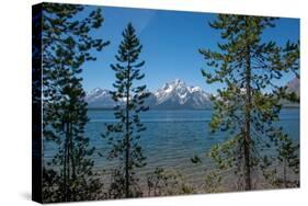 Grand Tetons, Lakeshore Trail, Colter Bay, Grand Tetons National Park, Wyoming, USA-Roddy Scheer-Stretched Canvas