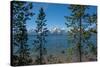 Grand Tetons, Lakeshore Trail, Colter Bay, Grand Tetons National Park, Wyoming, USA-Roddy Scheer-Stretched Canvas