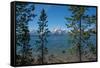 Grand Tetons, Lakeshore Trail, Colter Bay, Grand Tetons National Park, Wyoming, USA-Roddy Scheer-Framed Stretched Canvas