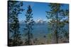 Grand Tetons, Lakeshore Trail, Colter Bay, Grand Tetons National Park, Wyoming, USA-Roddy Scheer-Stretched Canvas
