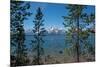 Grand Tetons, Lakeshore Trail, Colter Bay, Grand Tetons National Park, Wyoming, USA-Roddy Scheer-Mounted Photographic Print