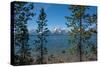 Grand Tetons, Lakeshore Trail, Colter Bay, Grand Tetons National Park, Wyoming, USA-Roddy Scheer-Stretched Canvas