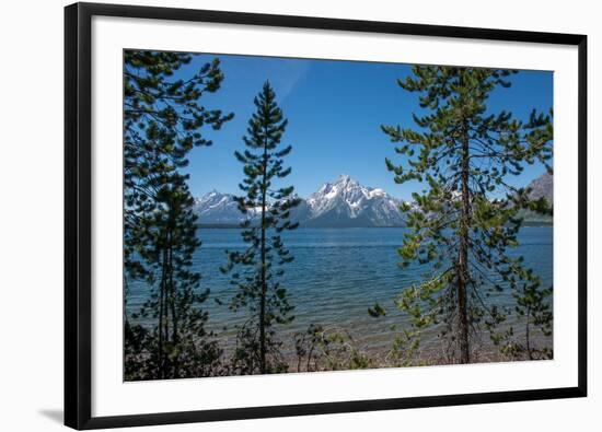 Grand Tetons, Lakeshore Trail, Colter Bay, Grand Tetons National Park, Wyoming, USA-Roddy Scheer-Framed Photographic Print