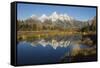 Grand Tetons Reflecting in Beaver Pond-Ken Archer-Framed Stretched Canvas