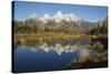 Grand Tetons Reflecting in Beaver Pond-Ken Archer-Stretched Canvas