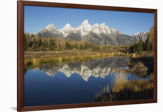 Grand Tetons Reflecting in Beaver Pond-Ken Archer-Framed Photographic Print