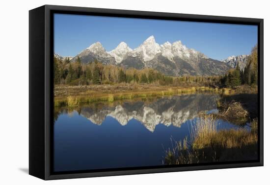 Grand Tetons Reflecting in Beaver Pond-Ken Archer-Framed Stretched Canvas