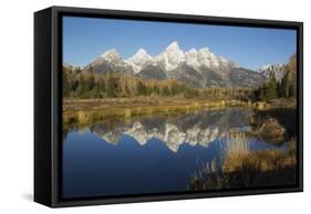 Grand Tetons Reflecting in Beaver Pond-Ken Archer-Framed Stretched Canvas