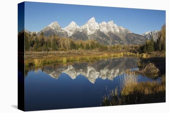 Grand Tetons Reflecting in Beaver Pond-Ken Archer-Stretched Canvas