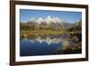 Grand Tetons Reflecting in Beaver Pond-Ken Archer-Framed Photographic Print