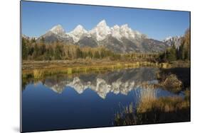 Grand Tetons Reflecting in Beaver Pond-Ken Archer-Mounted Photographic Print