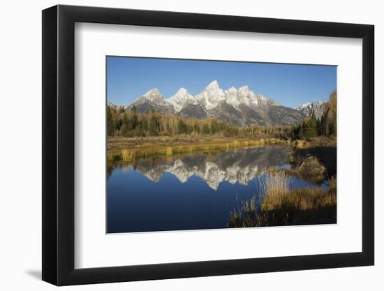 Grand Tetons Reflecting in Beaver Pond-Ken Archer-Framed Premium Photographic Print