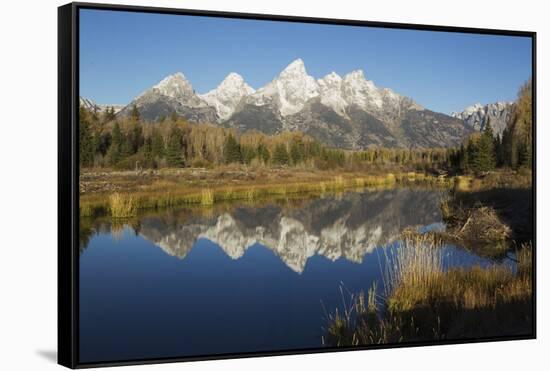 Grand Tetons Reflecting in Beaver Pond-Ken Archer-Framed Stretched Canvas