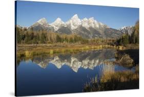 Grand Tetons Reflecting in Beaver Pond-Ken Archer-Stretched Canvas