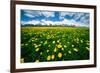 Grand Tetons, Wyoming: a Field of Dandelions Bloom Outside or Mormon Row-Brad Beck-Framed Photographic Print