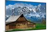 Grand Tetons, Wyoming: an Old Barn Located in the Historic District of Jackson Hole-Brad Beck-Mounted Photographic Print