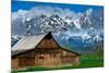 Grand Tetons, Wyoming: an Old Barn Located in the Historic District of Jackson Hole-Brad Beck-Mounted Photographic Print