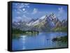 Grand Tetons-Eduardo Camoes-Framed Stretched Canvas