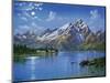 Grand Tetons-Eduardo Camoes-Mounted Premium Giclee Print