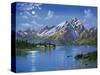 Grand Tetons-Eduardo Camoes-Stretched Canvas