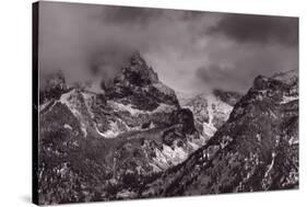 Grand Tetons-Steve Gadomski-Stretched Canvas