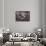 Grand Tetons-Steve Gadomski-Framed Photographic Print displayed on a wall