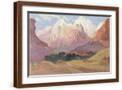 Brown Frame
