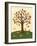 Grand Tree & Squirrel-Teresa Woo-Framed Art Print