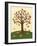 Grand Tree & Squirrel-Teresa Woo-Framed Art Print