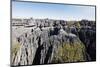 Grand Tsingy, Tsingy du Bemaraha National Park, UNESCO World Heritage Site, western area, Madagasca-Christian Kober-Mounted Photographic Print