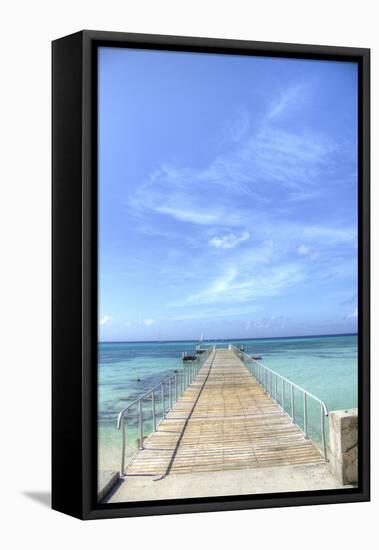 Grand Turk III-George Johnson-Framed Stretched Canvas