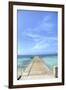 Grand Turk III-George Johnson-Framed Art Print