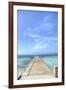 Grand Turk III-George Johnson-Framed Art Print