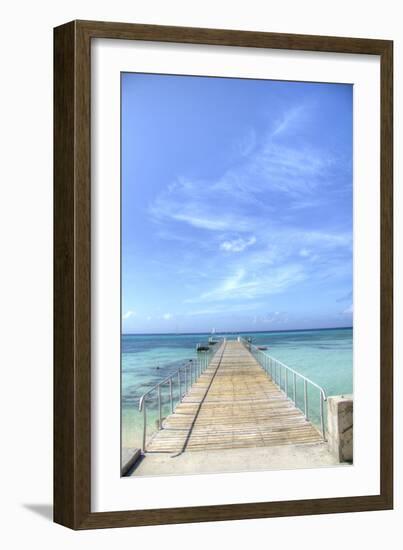 Grand Turk III-George Johnson-Framed Art Print