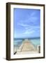 Grand Turk III-George Johnson-Framed Art Print