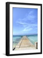 Grand Turk III-George Johnson-Framed Art Print