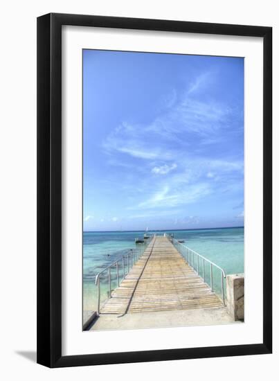 Grand Turk III-George Johnson-Framed Art Print