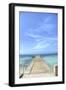 Grand Turk III-George Johnson-Framed Art Print